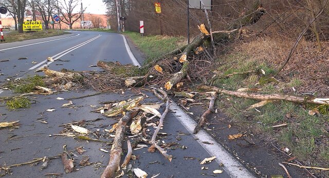 Racibórz: Strażacy przez cały weekend walczyli ze skutkami silnej wichury