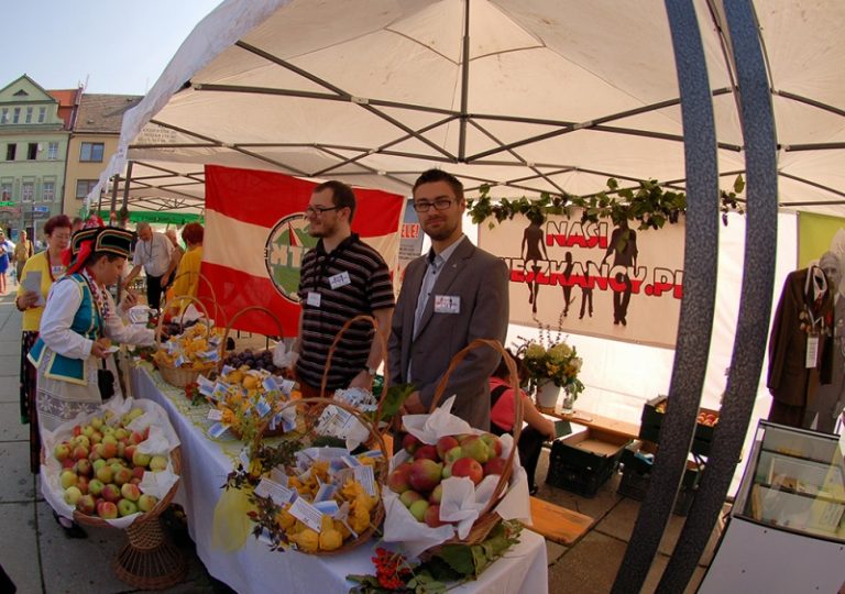 Organizacje pozarządowe zaprezentowały się na wodzisławskim rynku