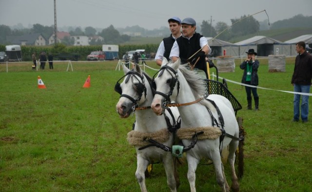 Gorzyce: Zaprzęgi wygrały z pogodą