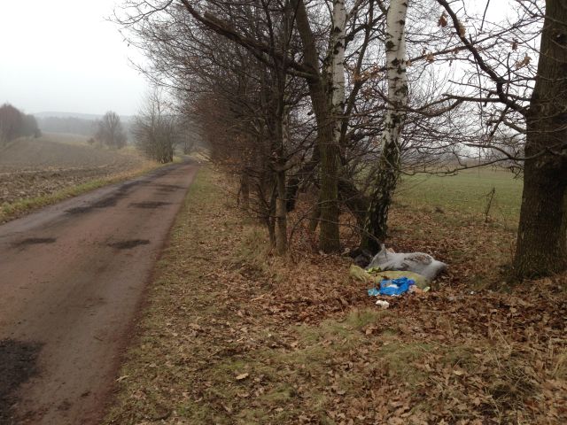 Kolejne przypadki zaśmiecania w Wodzisławiu