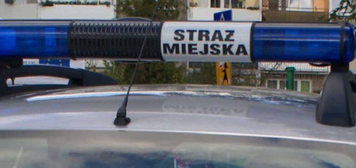 Fot. Straż Miejska Wodzisław Śl.