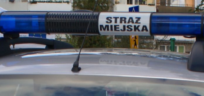 Fot. Straż Miejska Wodzisław Śl.