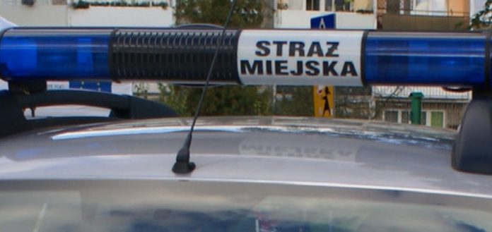 Straż Miejska: Praca Wodzisław