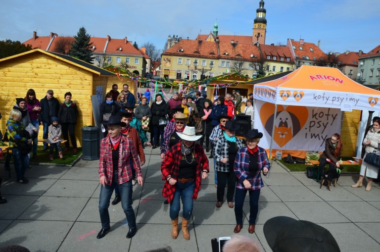 Festiwal Organizacji Pozarządowych na wodzisławskim Rynku